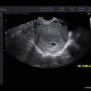 인정병원 이미지