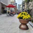 골든메디컬케어센터 이미지