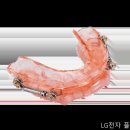 삼성페스티벌, LG전자 플래그십 D5 홈 라이프 완벽템!