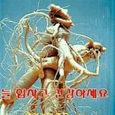 여행친구주 이미지