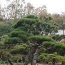 거북농장 이미지