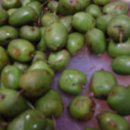 고향내음 이미지