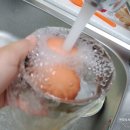 신일계란