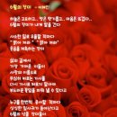 詩 ■ 이해인 - 6월의 장미 이미지