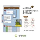 새벽청과야채