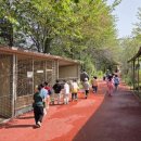 부현초등학교 이미지