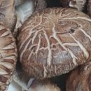 박준호농장 이미지