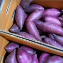 김일환 농장 이미지