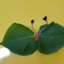 봉남어린이집 이미지