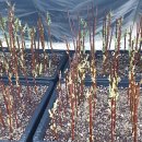 효원목장 이미지