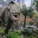 덕소자연사박물관 이미지