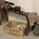 코끼리를키우는사람들 - 남구 월평로 64 | 코끼리를키우는사람들