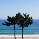 농협보험설악수련원 이미지