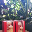 OK게임랜드 이미지