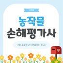 손해평가사 2차 | 농산물 손해평가사 학원 인강 교재 2차 확실한 공부방법