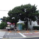 남양동사무소 이미지