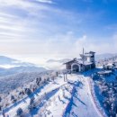 용평리조트 스키장 이미지