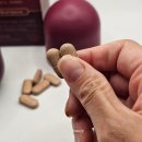 대한식품 | 갱년기 다이어트 보조제 식품 추천 grn 리얼퀸 후기