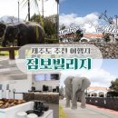 박차돈 | [제주 여행] 내돈 내산 제주 점보빌리지 방문기, 제주 실내 코끼리 쇼 관람 후기