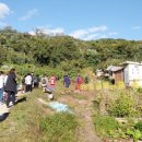 도시의꿈 이미지