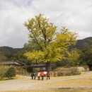 고산이랑 이미지