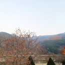 동강노래연습장 이미지