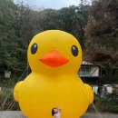 164 | 파주 가을 아이와 함께 자연 속 힐링을 만끽한 초리골164 대형카페 방문 후기