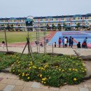 지방초등학교 이미지