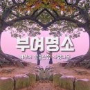 성흥로97번길 이미지