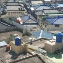 완월동243 이미지