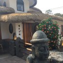 제주도화 이미지