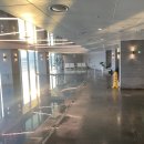 디스당구장 | 호텔마리나베이서울 슈페리어 더블 가는 방법 호캉스 후기