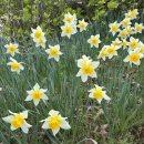 고령테니스장 | 생애첫 테니스 클럽 게스트 후기 - 첫 방문 매우 성공적!