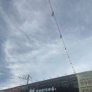초원한우마을 | 일산 설문동 한우전문점 질 좋은 한우, 초원 한우 마을 내돈내산 추천 후기