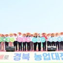 두배로 영농조합법인 쿠키뉴스