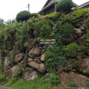 산새소리 | 하동 지리산 산새소리펜션 후기