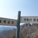 천등산철쭉공원 이미지