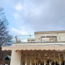 12/6 크리스마스 생화 트리 | 대전 크리스마스 트리 카페 신상 빌라드파티앤 주차 메뉴 내돈내산 후기