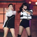 모모플러스