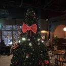 라페스타 이미지