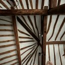 태평한 대평 이미지