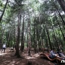 송정박상진호수공원 진입로 이미지