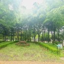 맑음터공원 캠핑장 이미지