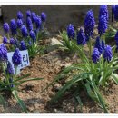 강화바다 이미지