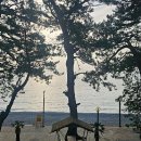 풀비치펜션 이미지