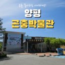 꽃무지어린이집 - 37612 | 양평 아이랑 갈만한 곳 곤충박물관 애벌레 체험 민물고기생태체험관까지 코스로