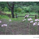 성남시립식물원 이미지