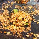 금해식당 이미지