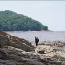 찬우목장 티스토리