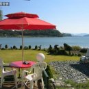 레이크 가든 이미지